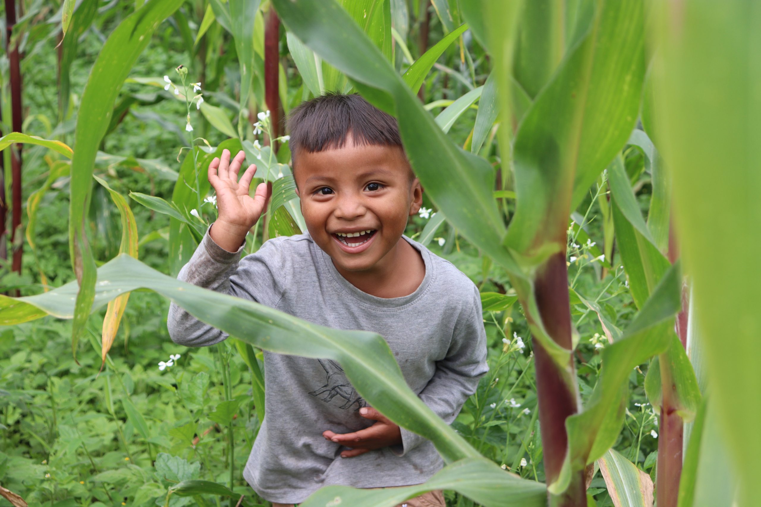 BALANCE ANUAL 2025: sostener impacto en un contexto de menos recursos