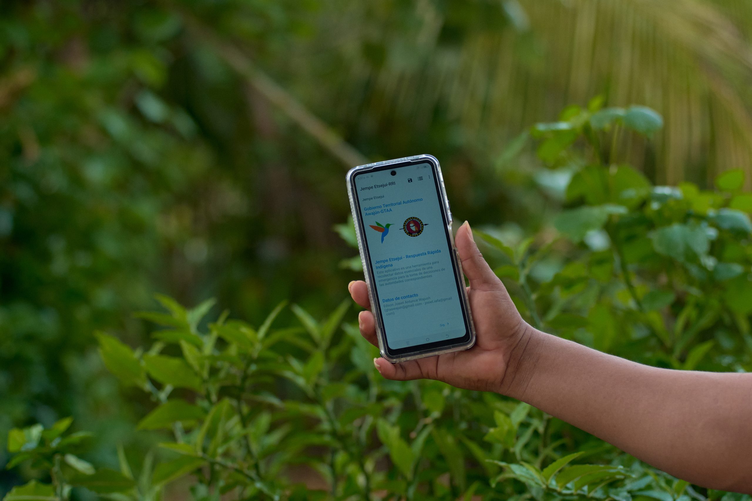 Jempe Etsejui: la tecnología awajún que protege la Amazonía con alertas de delitos, desastres y emergencias con innovadora app